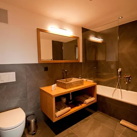 Alpine Colosseo Apart Otel Zermatt